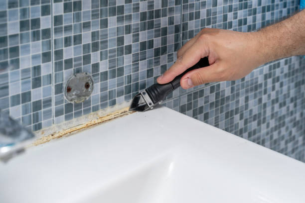 Best Professional Mold Removal  in Tuckahoe, NY