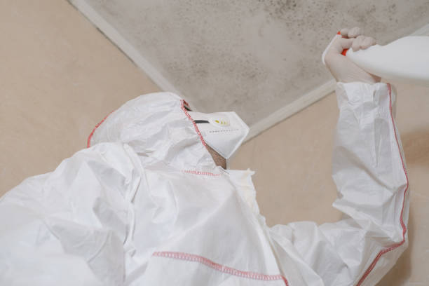 Best Residential Mold Removal  in Tuckahoe, NY