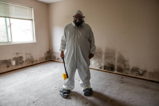 Best Commercial Mold Removal  in Tuckahoe, NY